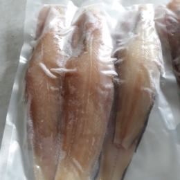 Khô Cá Lưỡi Trâu 180k/kg  ( Theo Thời Giá )