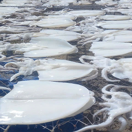 Mực Một Nắng 400k - 420k/kg  ( Theo Thời Giá ) 