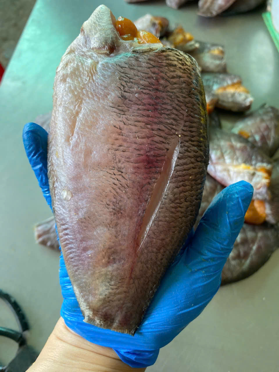 Khô Sặc 190k/kg ( Giá theo size - Theo Thời Giá ) 